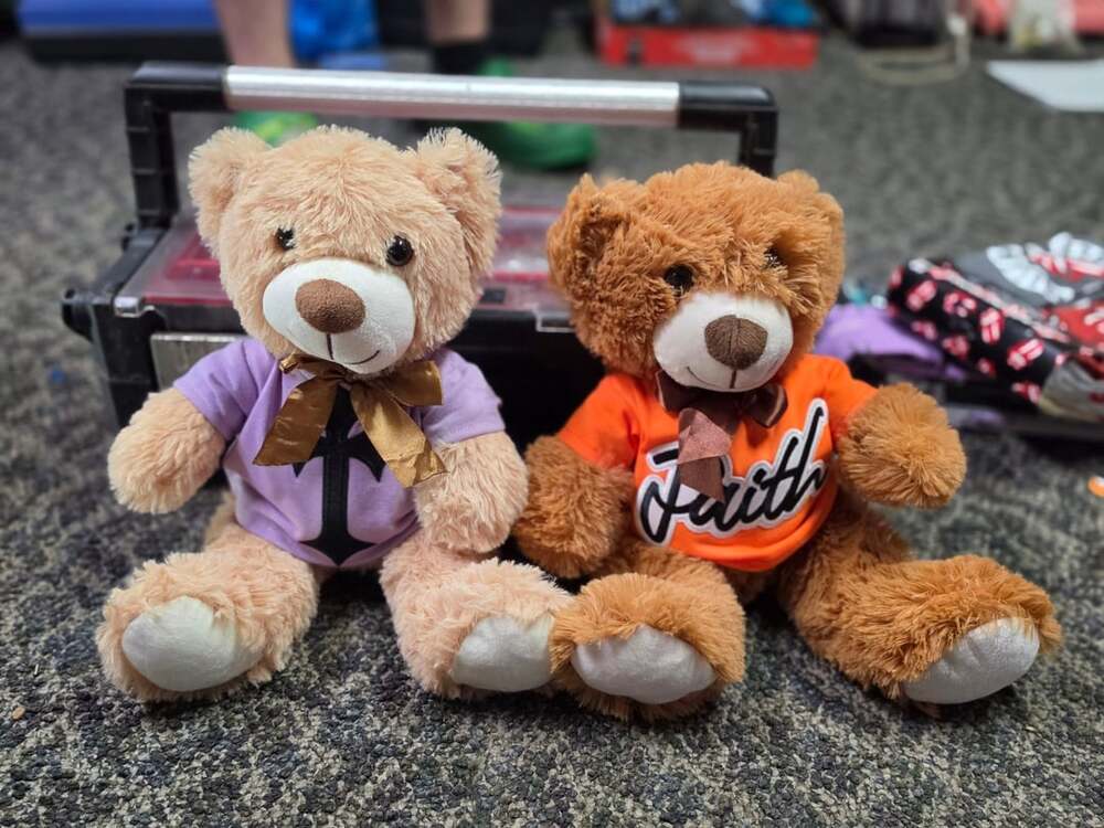 Plush Teddy Bear Stuffed Animal Toy Lot Of 2